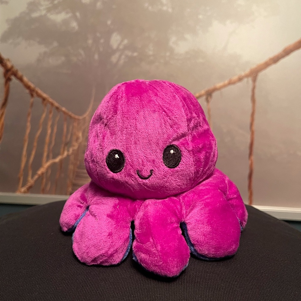 Reversible Octopus Plushie!
